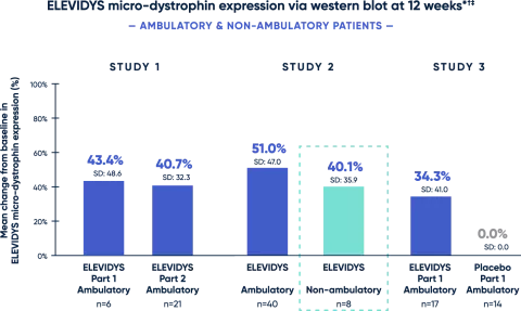 ELEVIDYS micro-dystrophin expression shown in study 2