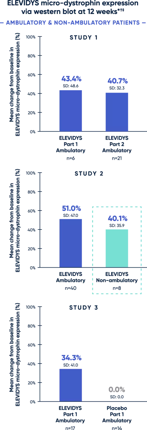ELEVIDYS micro-dystrophin expression shown in study 2